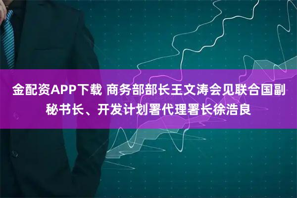 金配资APP下载 商务部部长王文涛会见联合国副秘书长、开发计划署代理署长徐浩良